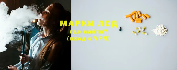 прущие грибы Сосновоборск